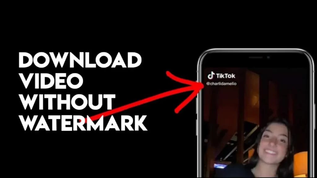 Download TikTok Videos without Watermark in your phone. Download TikTok Videos without watermark